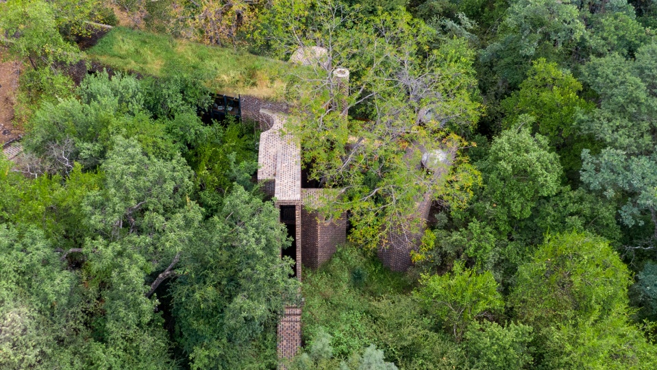 Frankie Pappas «спрятали» узкий дом в лесной чаще