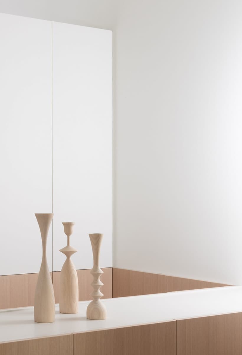 Узкий дом с длинной системой хранения в Торонто — проект StudioAC