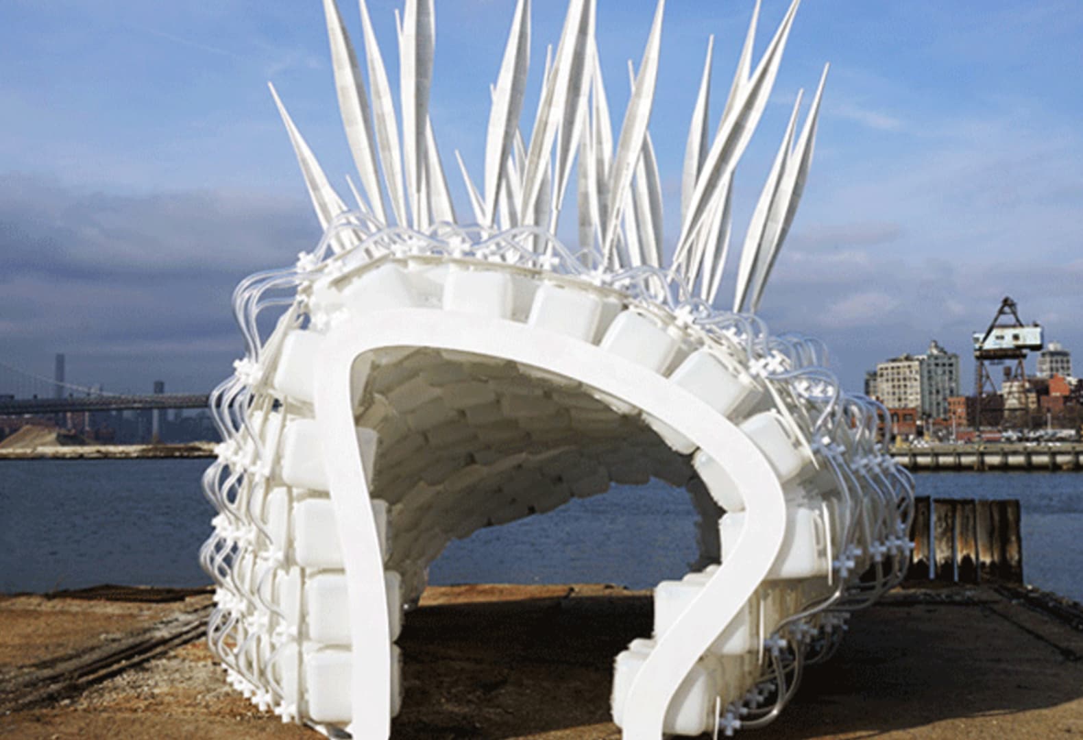  Проект Cricket Shelter