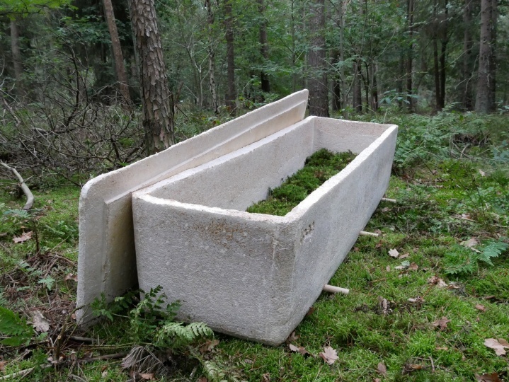 TU Delft представили органический гроб, который улучшает почву
