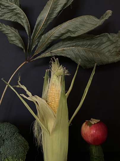 Sample x Даниловский рынок: искусство из овощей и фруктов