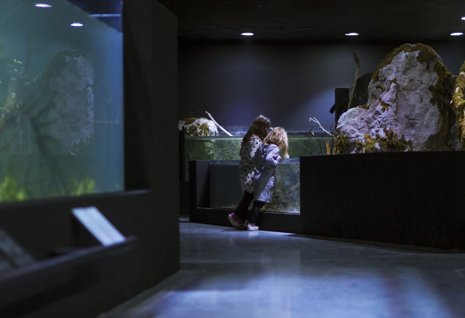 Пресноводный аквариум и музей реки в Карловаце. Фото: Jure Zivkovic