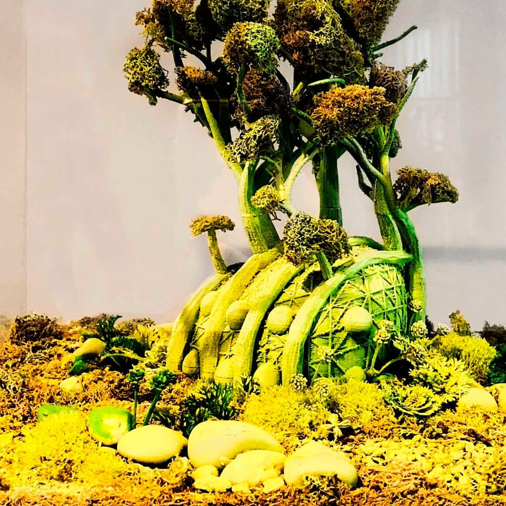 Fab Tree Hab. Митчелл Иоахим