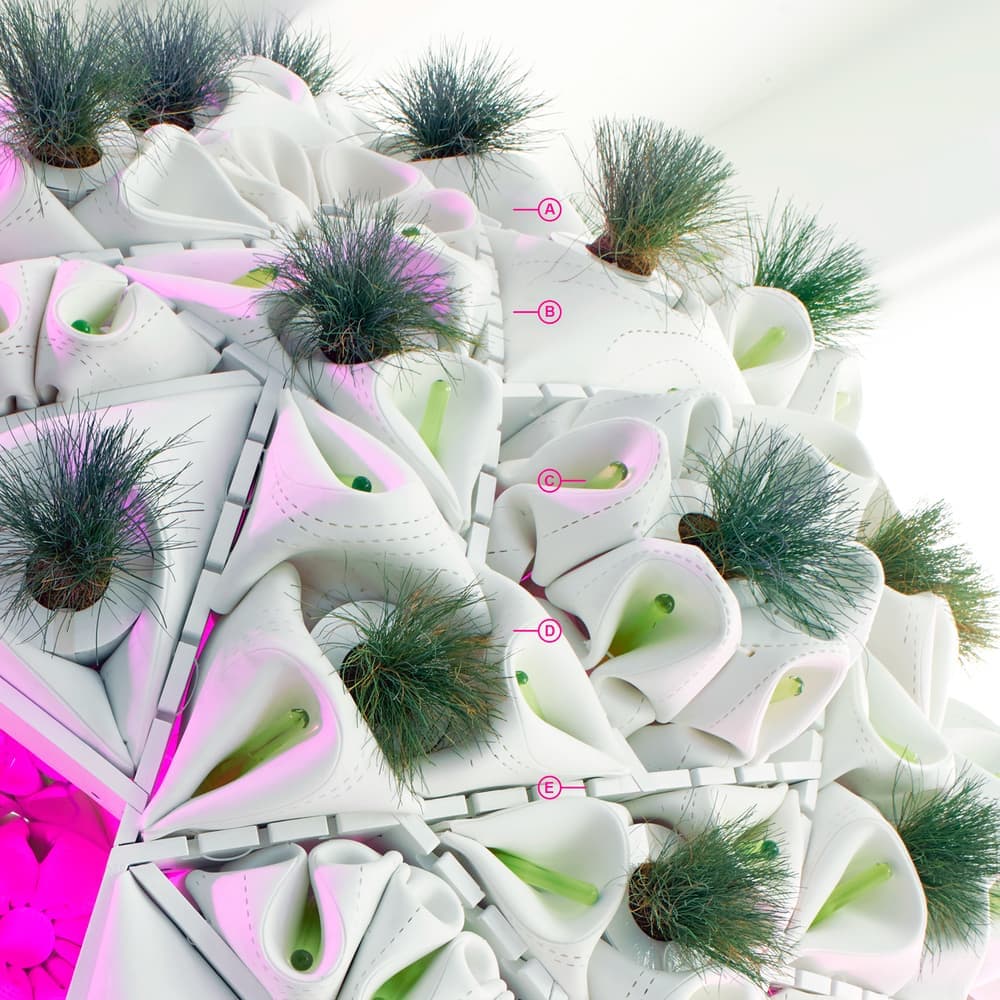 Plug-In Ecology. Митчелл Иоахим