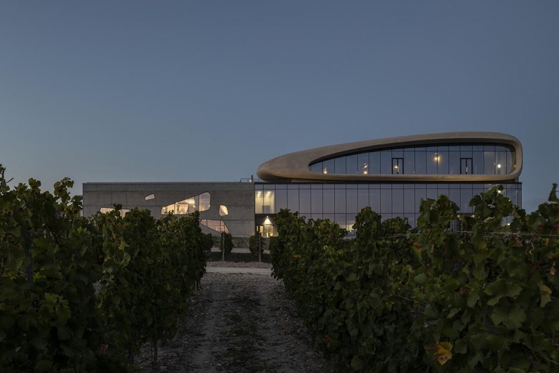 Винодельня Côte Rocheuse на премии ArchDaily «Здание года 2021»