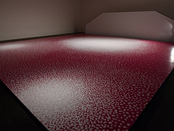 Оригинальная инсталляция из 100 000 лепестков сакуры из соли
