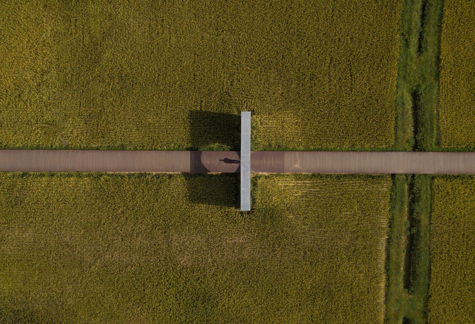 Город будущего агрокультурного туризма AIRICE в Гуанчжоу