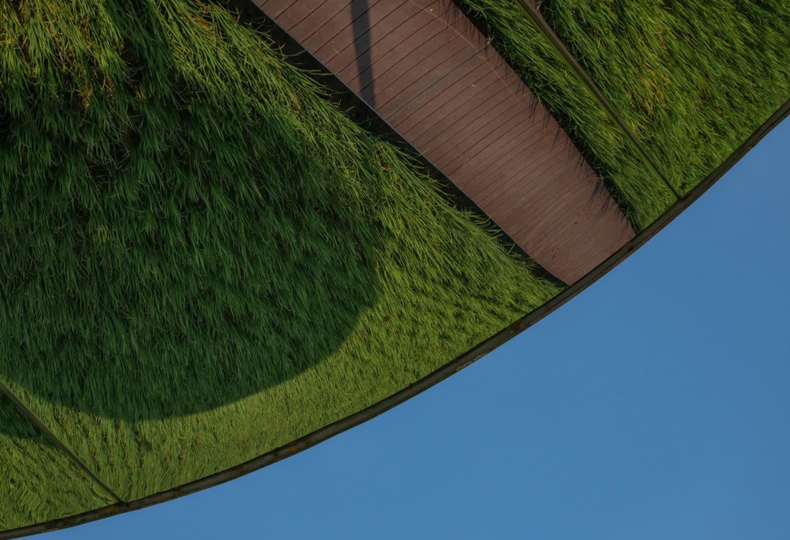 Город будущего агрокультурного туризма AIRICE в Гуанчжоу