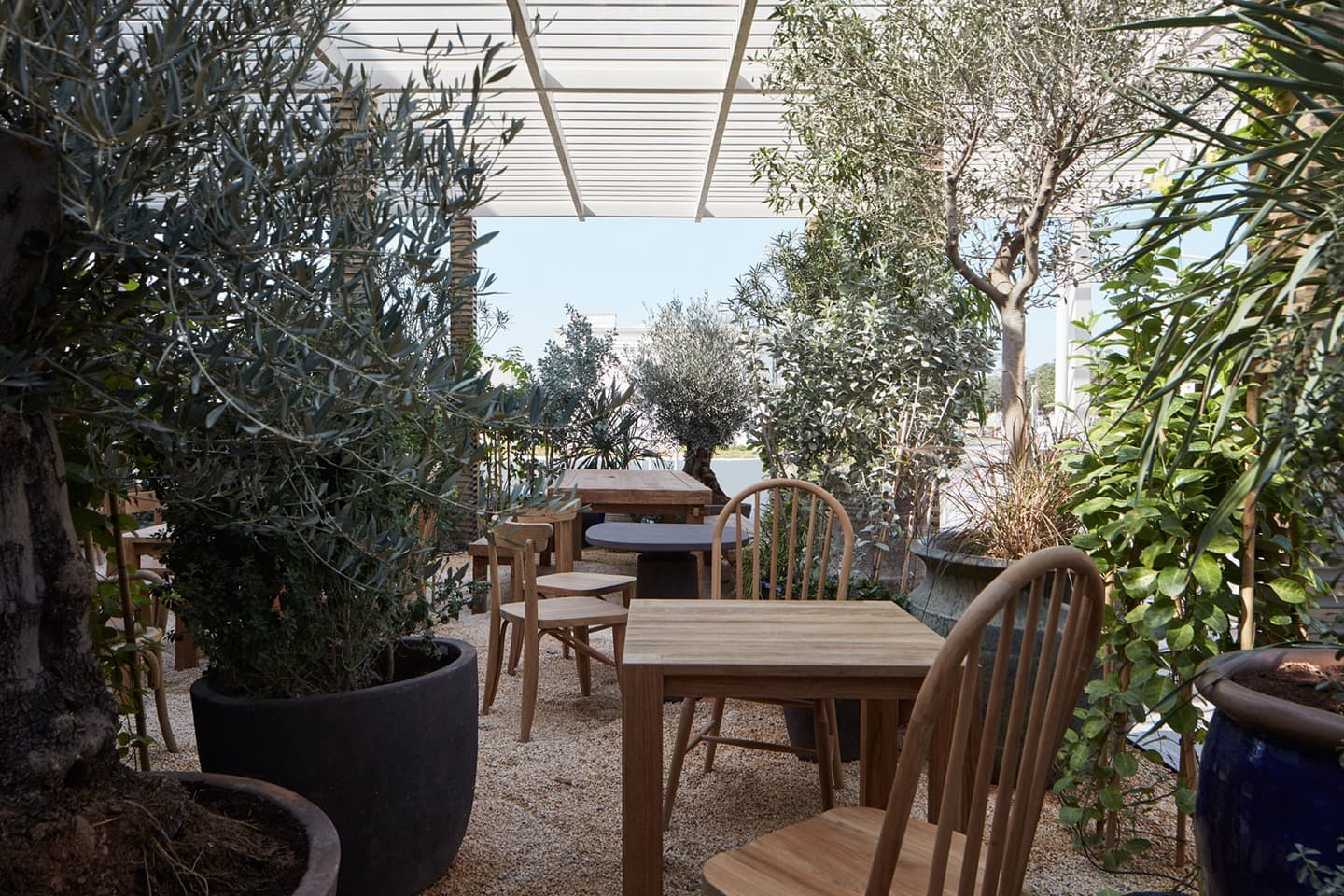 Заведение с терракотовыми оттенками в интерьере – проект BONE