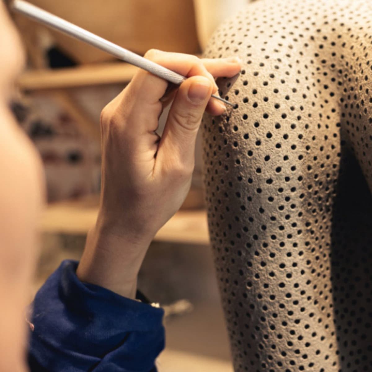 Armel Soyer. Корали Бонне. Shoto