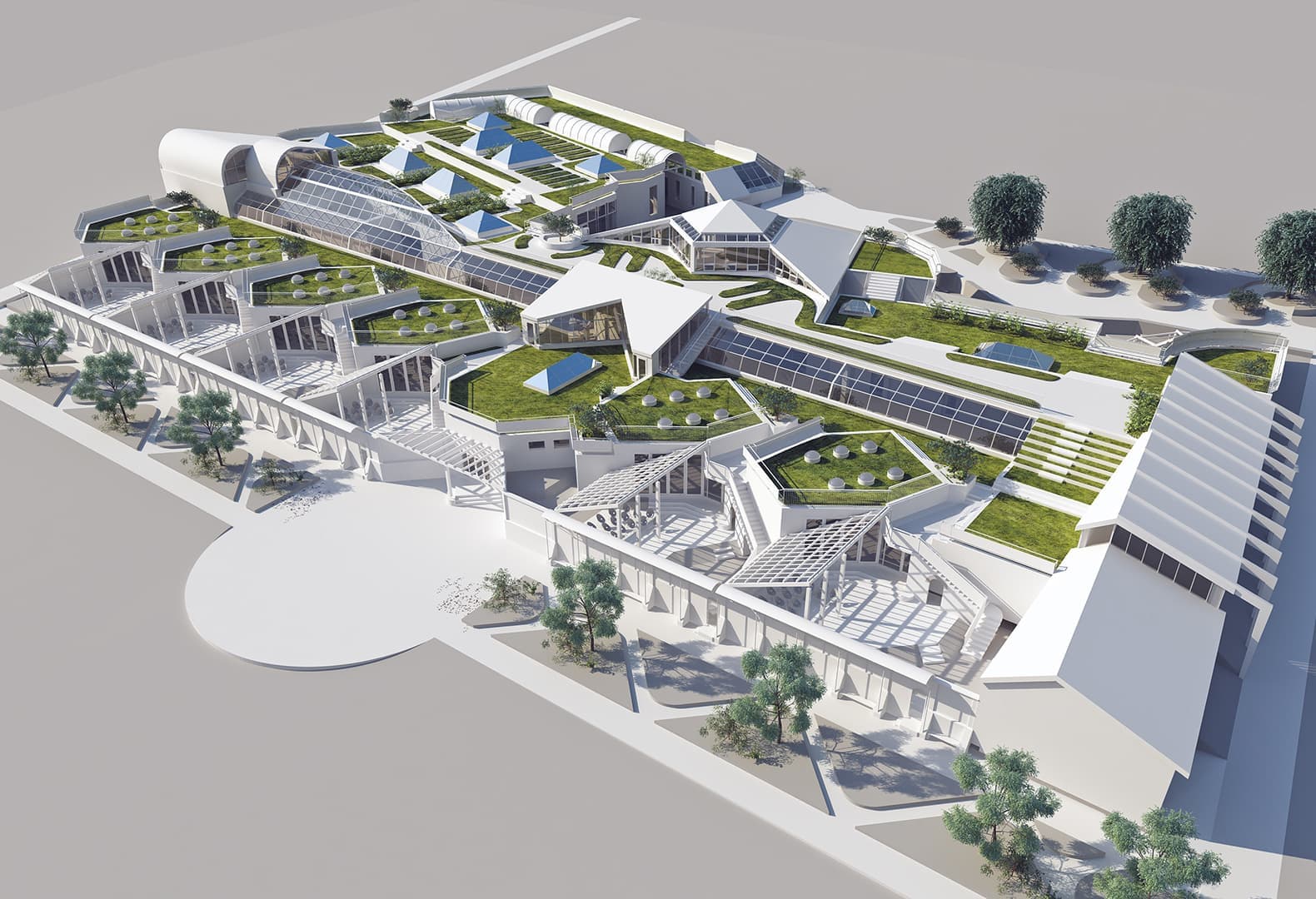 Победители Дизайн-Дебют 2020: Проект старшей и средней школы, Алла Луенс