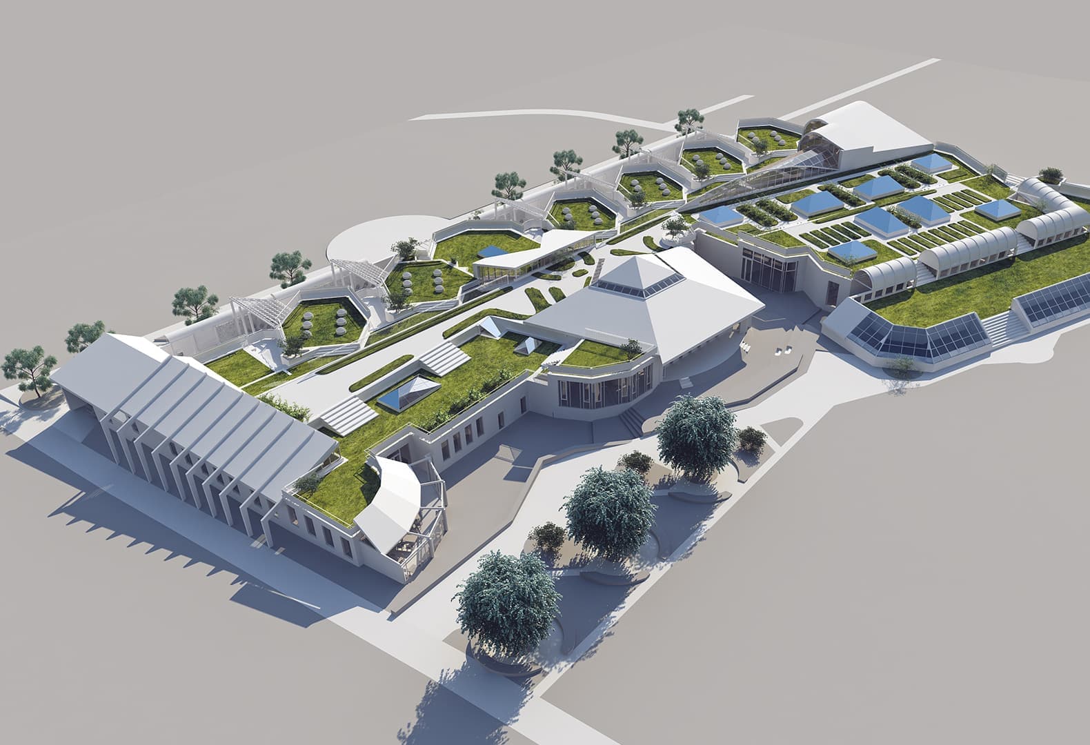 Победители Дизайн-Дебют 2020: Проект старшей и средней школы, Алла Луенс