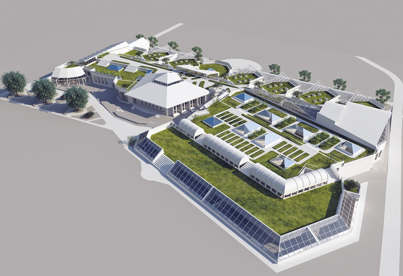 Победители Дизайн-Дебют 2020: Проект старшей и средней школы, Алла Луенс