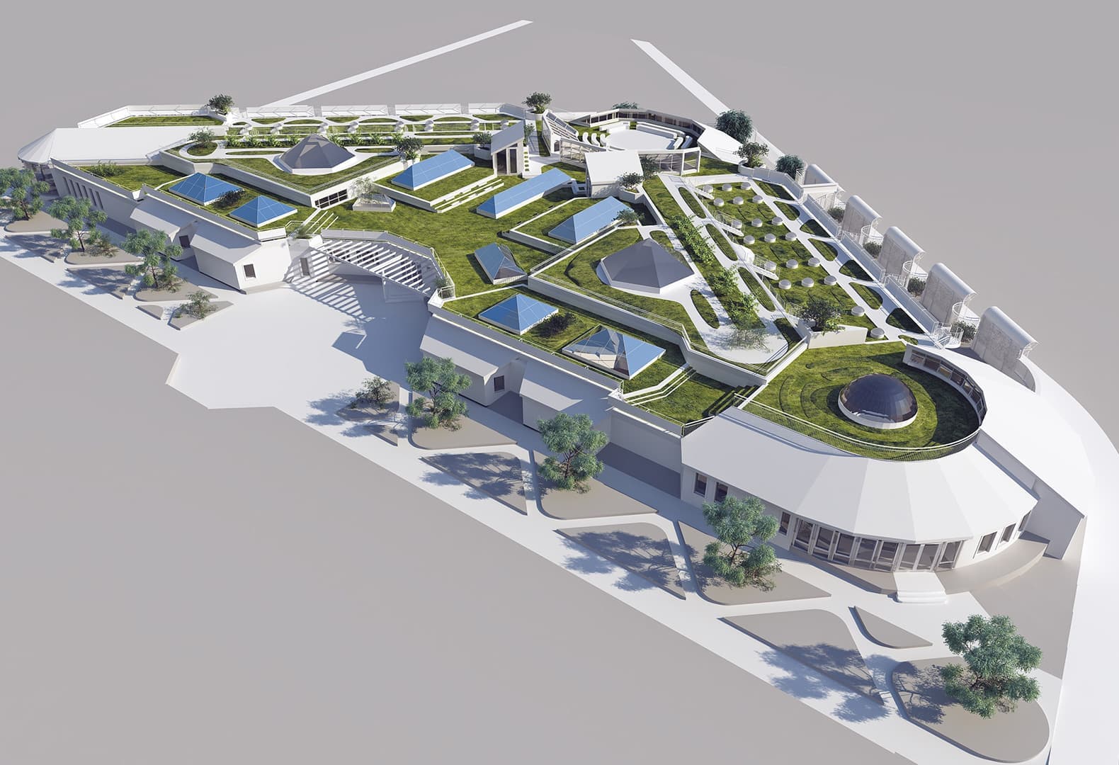 Победители Дизайн-Дебют 2020: Проект старшей и средней школы, Алла Луенс