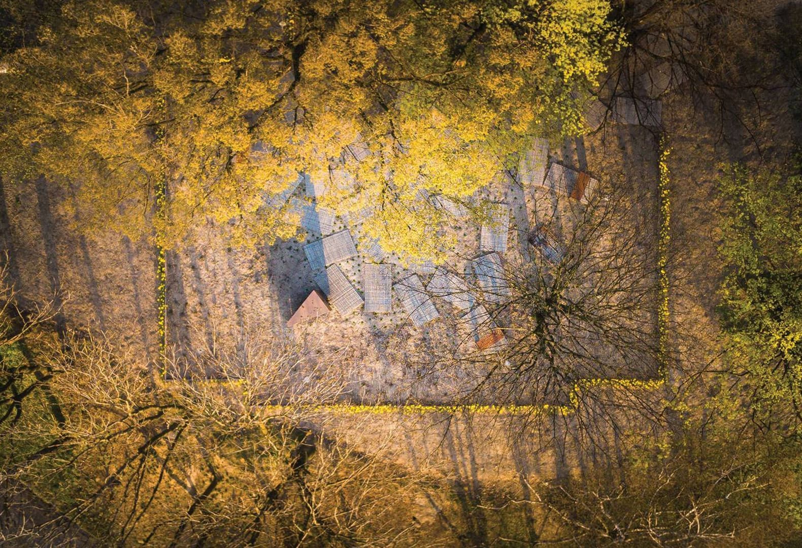 Мемориальный парк на территории Большой Синагоги Освенцима. NArchitekTURA + Bartosz Haduch. Фото: Piotr Strycharski