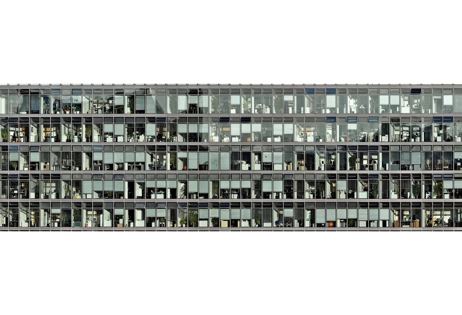 Оливия Конье. Totem