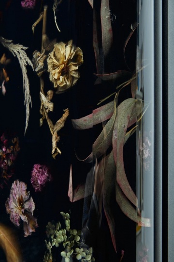 Flora Cabinet от Марцина Русака: сохраненная мимолетная красота цветов