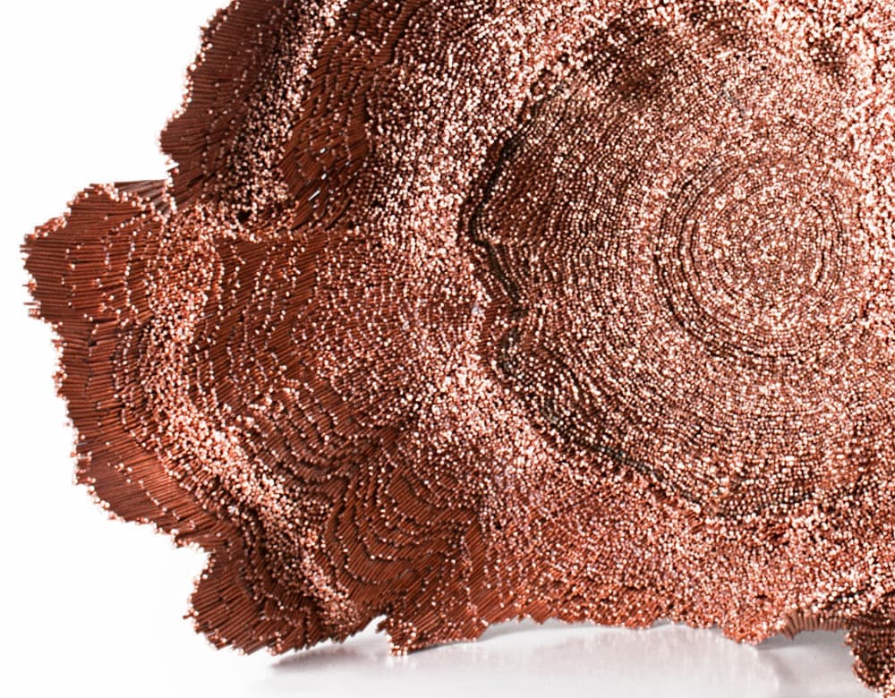 Loewe Foundation Craft Prize 2021: Номинация Другие - Дэвид Корвалан (David Corvalán)