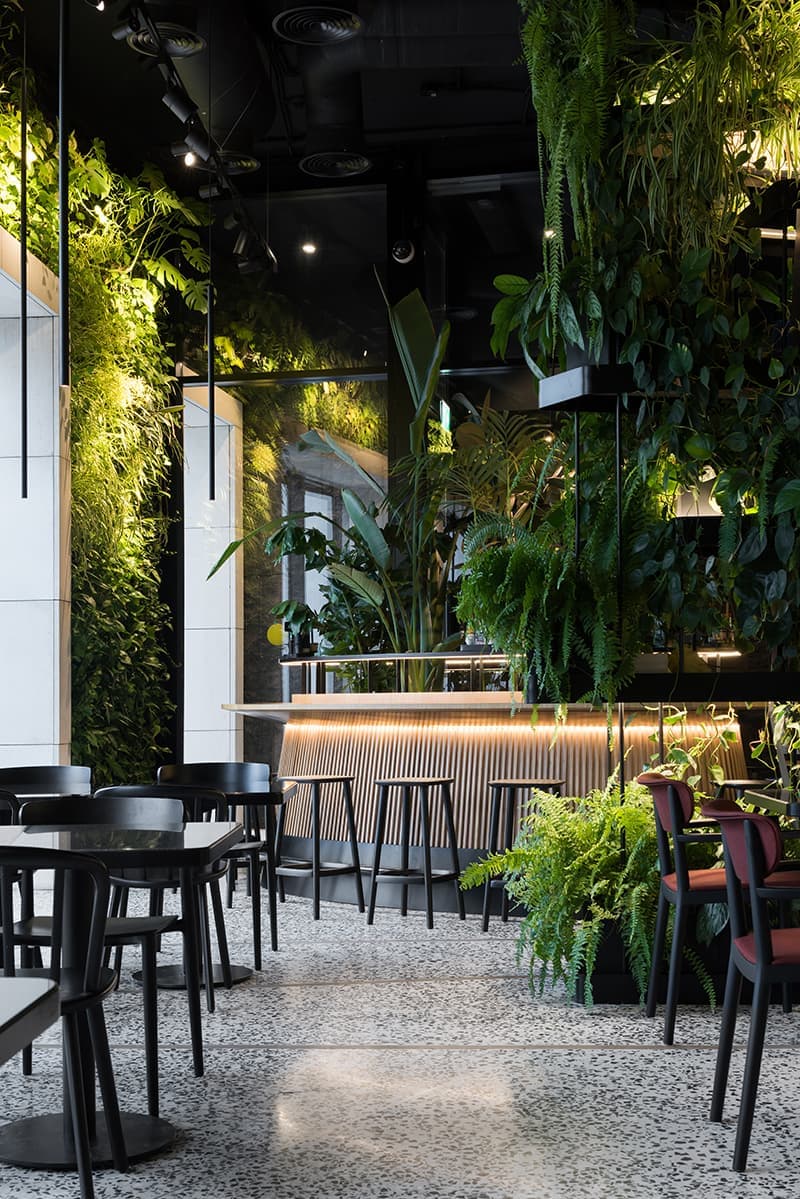 Café Krasnodar. Фото: Илья Иванов
