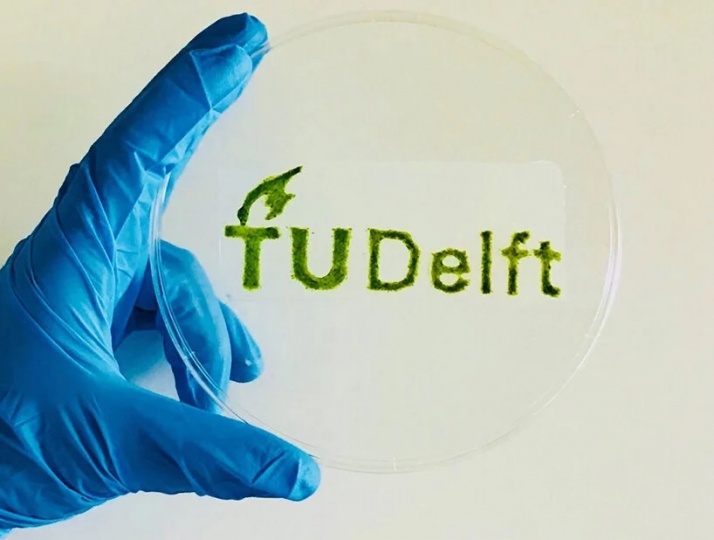 Исследователи TU Delft разработали новый органический материал