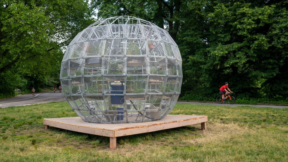 Инсталляция Watershed Core фильтрует дождевую воду в Нью-Йорке