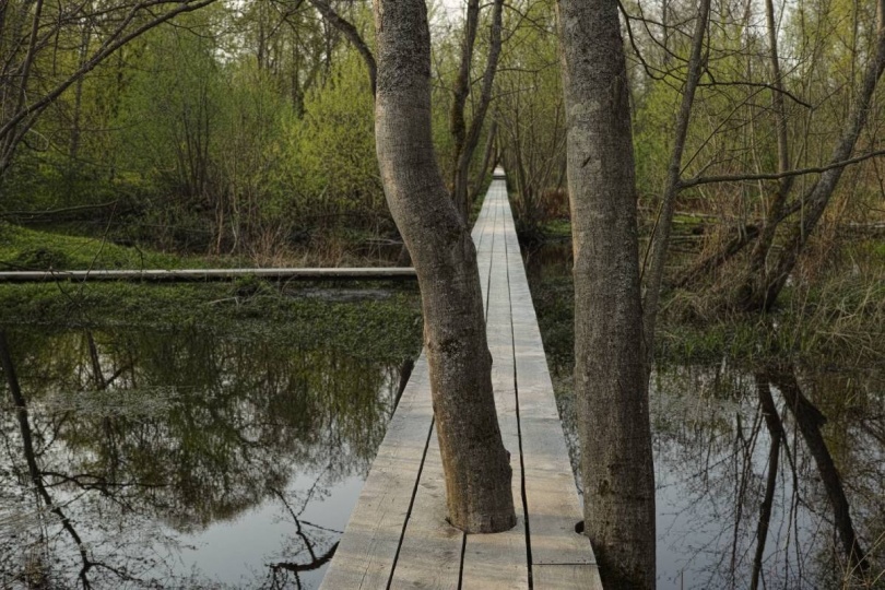 В арт-усадьбе Веретьево откроется парк по проекту Александра Бродского