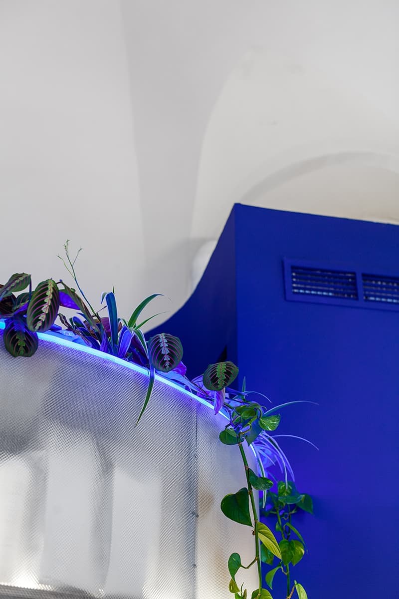 Кафе в историческом павильоне – проект дизайнера Павла Неснова