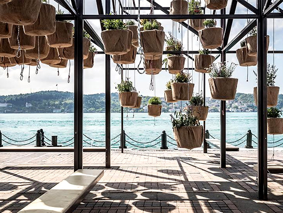В Стамбуле появился интерактивный сад
