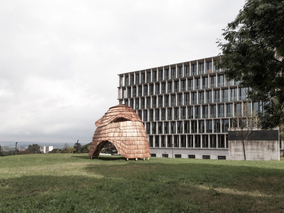 Студенты из Цюриха построили деревянный павильон руками роботов