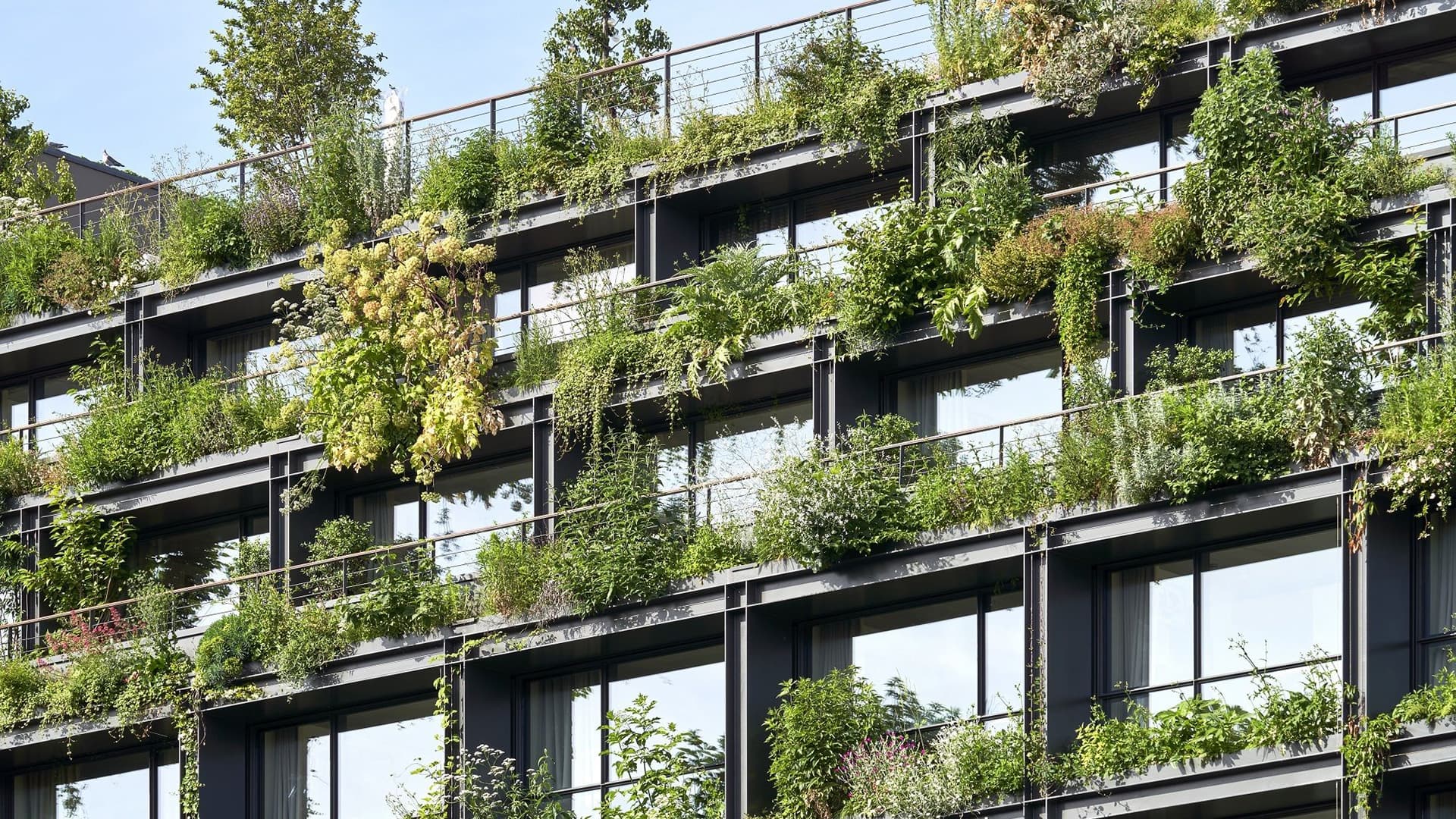 Сад в мегаполисе: архитектурные проекты, которые меняют представление о жизни в городе