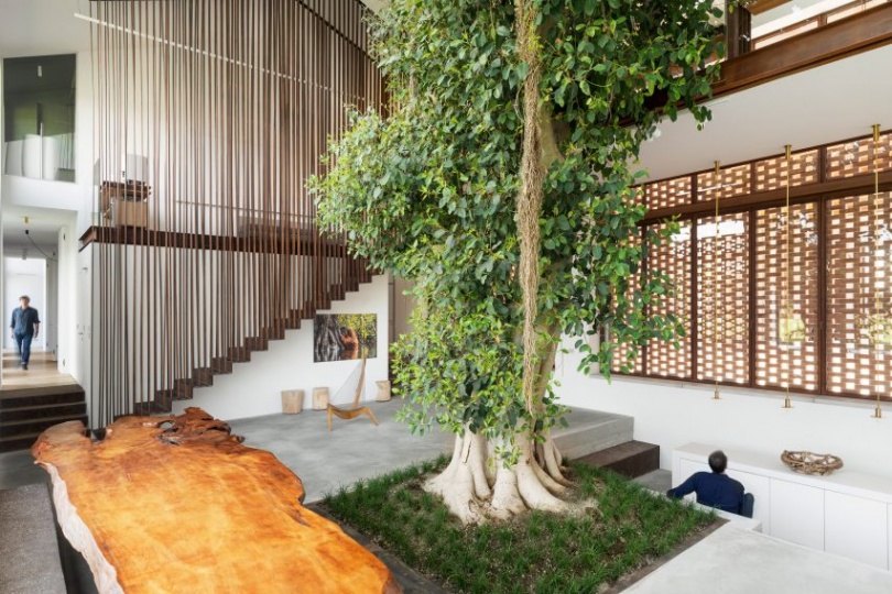 Дом с деревом по проекту Carlo Ratti Associati и Итало Рота