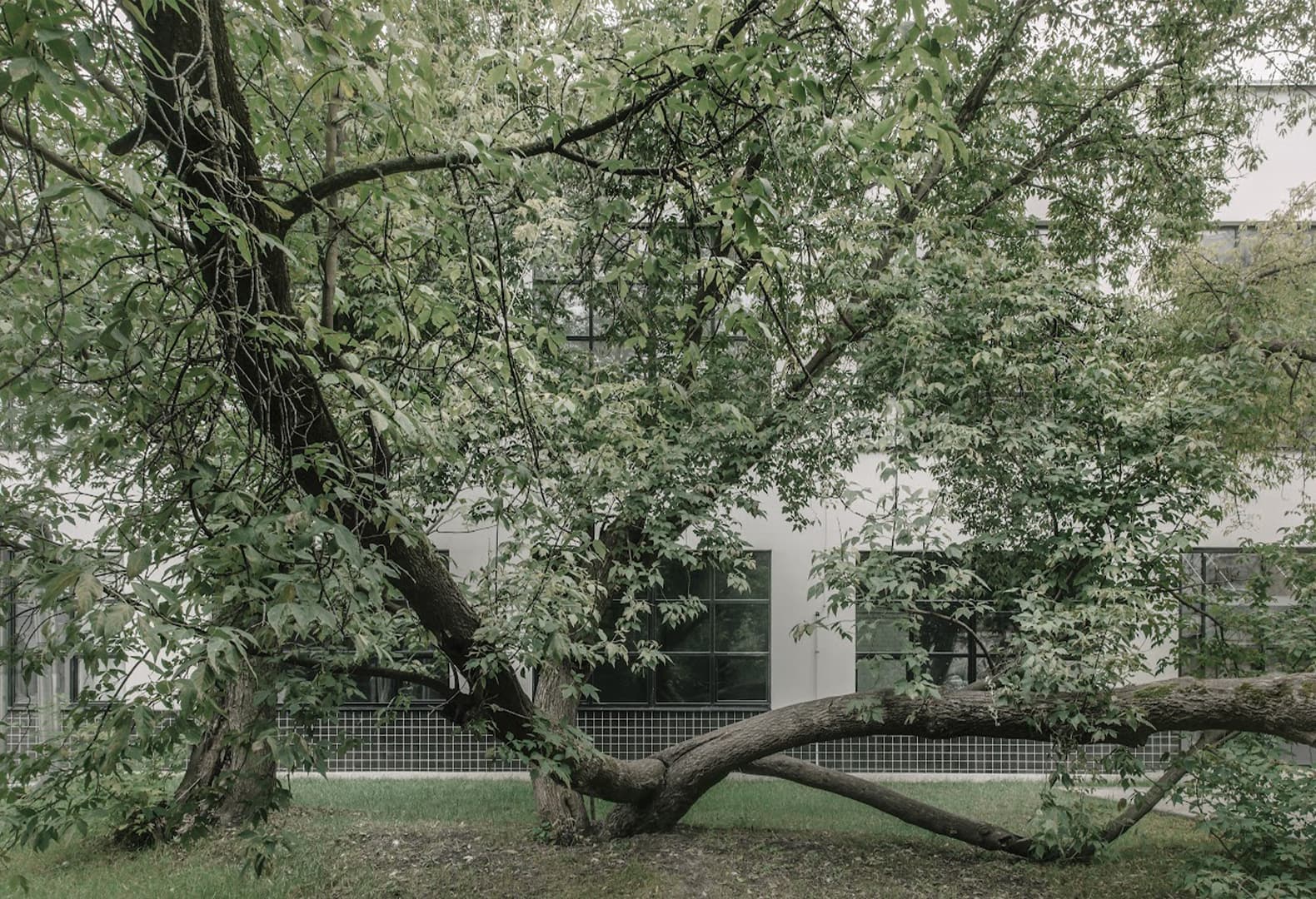 Из промышленного советского здания в приятную современную среду — проект бюро Radical Passive