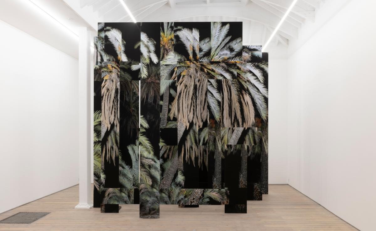 Художница Ноэми Гудал покажет свои работы в новом пространстве галереи Edel Assanti