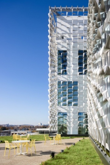 Студия Behnisch Architekten построила новый корпус Гарвардского университета