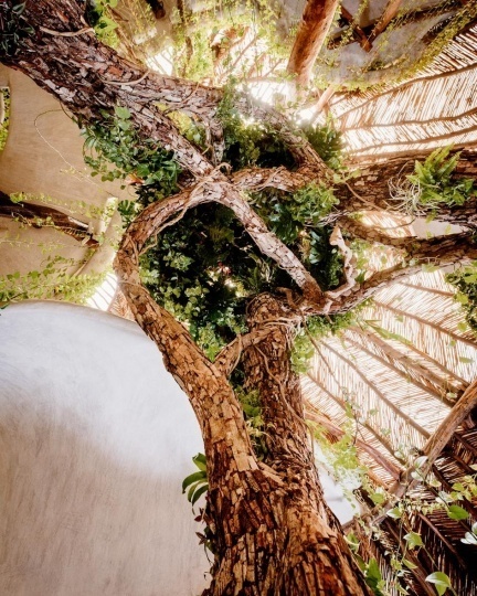 Самая крупная ботаническая скульптура Макото Азумы