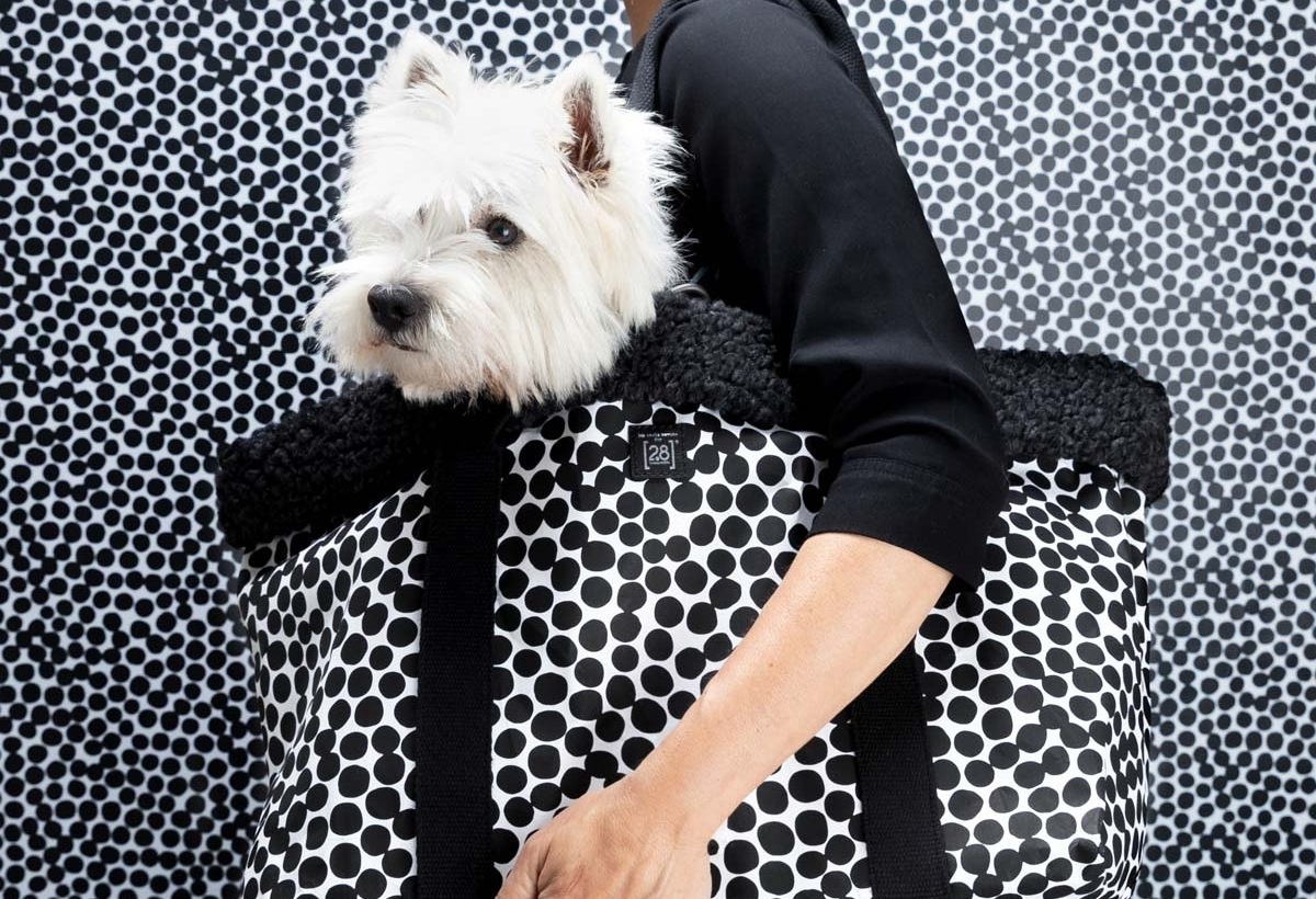 Паола Навоне создала коллекцию аксессуаров для собак