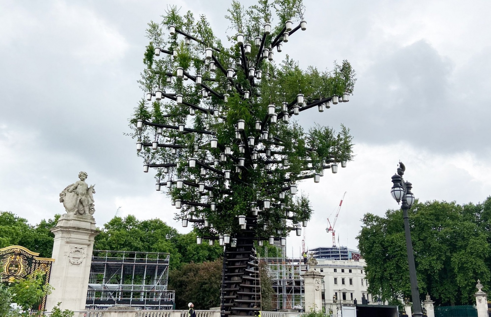 Heatherwick Studio создали инсталляцию из 350 деревьев к юбилею королевы