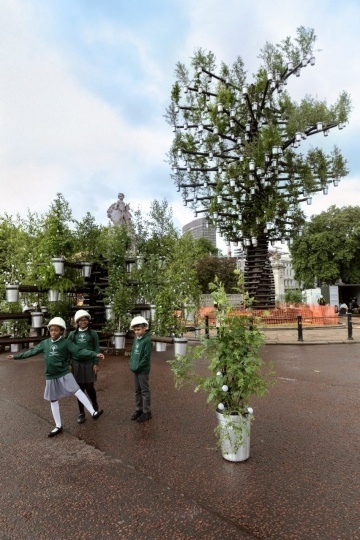 Heatherwick Studio создали инсталляцию из 350 деревьев к юбилею королевы