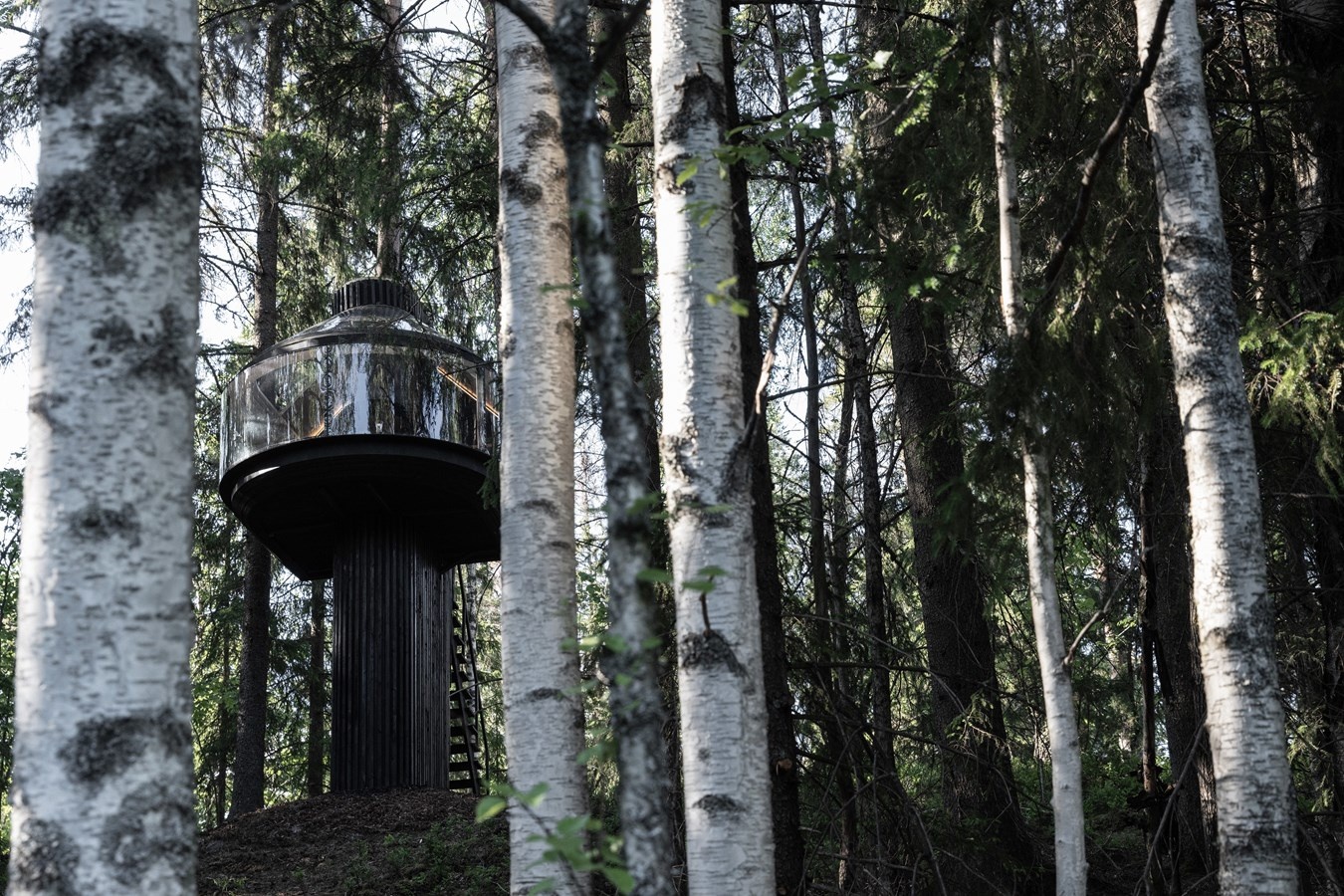 Polestar и дизайнер Кристиан Талвити построили миниатюрный дом на дереве