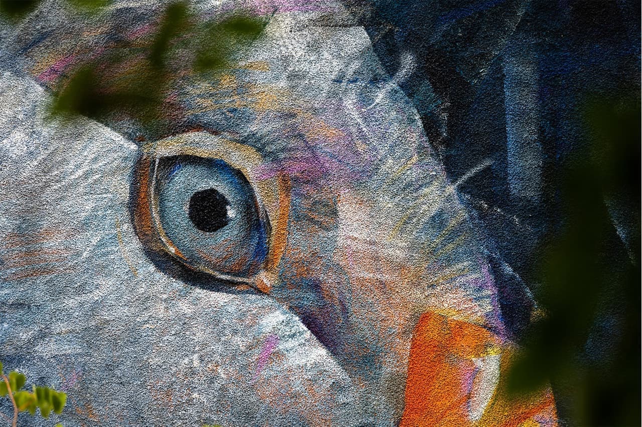 Международный фестиваль уличного искусства STENOGRAFFIA: «Портрет с гусем», Кирилл Бородин. Фото: Дмитрий Чабанов, Павел Иванов