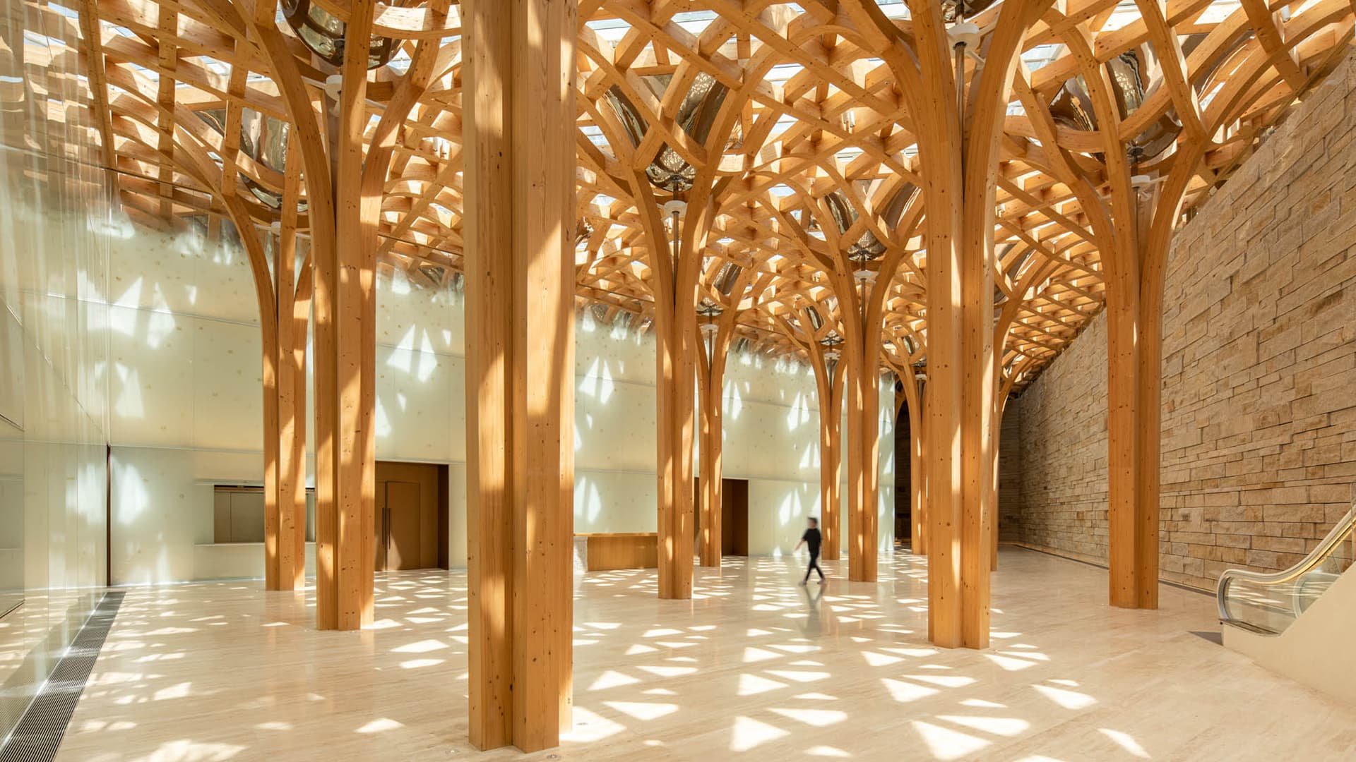 Shigeru Ban: Timber in Architecture