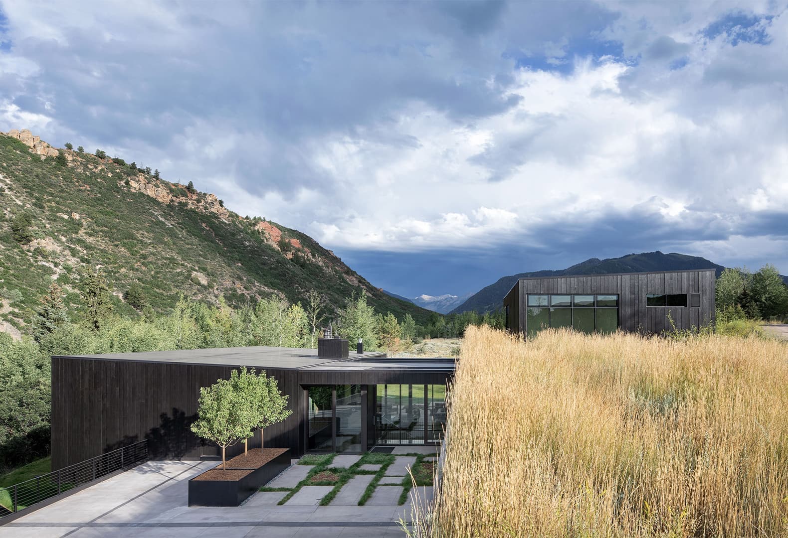 Meadow House, CCY Architects. Фото: Jeremy Bittermann