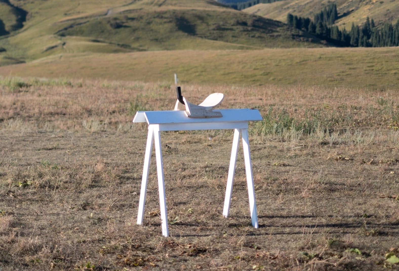 13 дизайнеров вместе с казахскими мастерами создали лошадиные седла