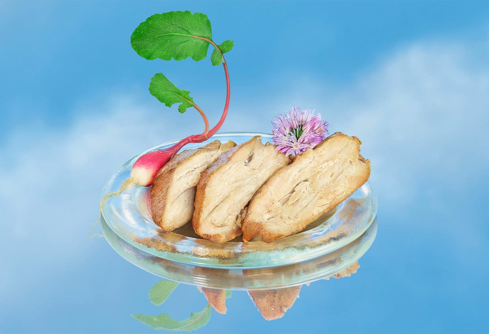 Искусственное мясо из переработанного углекислого газа. Air Protein