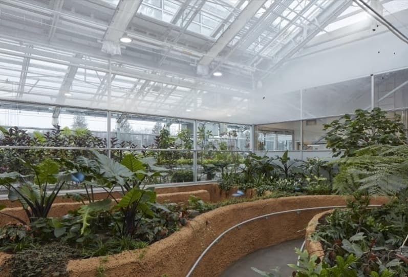 В новом монреальском музее гости могут почувствовать себя насекомыми