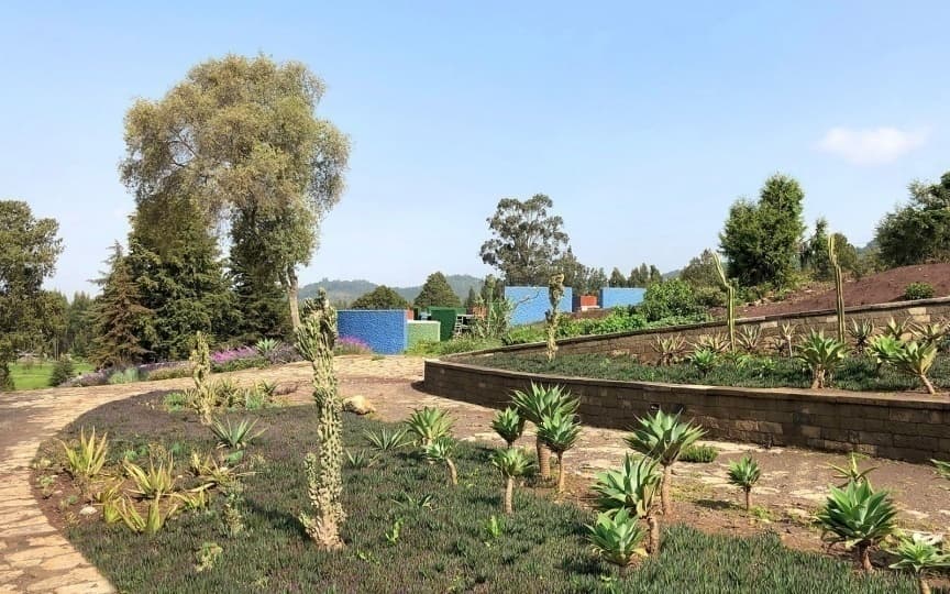 Ландшафтный парк в Эфиопии по проекту Studio Other Spaces