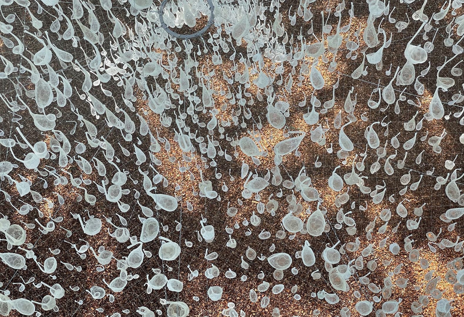 Инсталляция Reservoir в Шомон-сюр-Луар. Фото: John Grade Studio