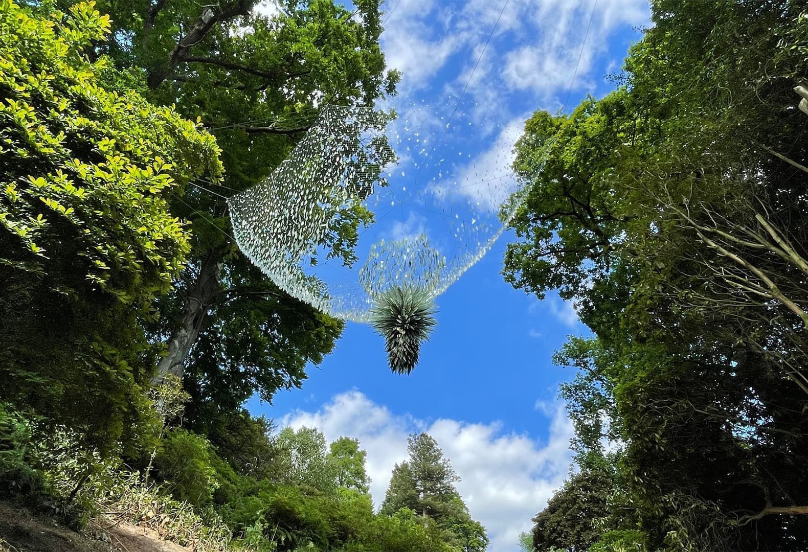 Инсталляция Isla. Фото: John Grade Studio