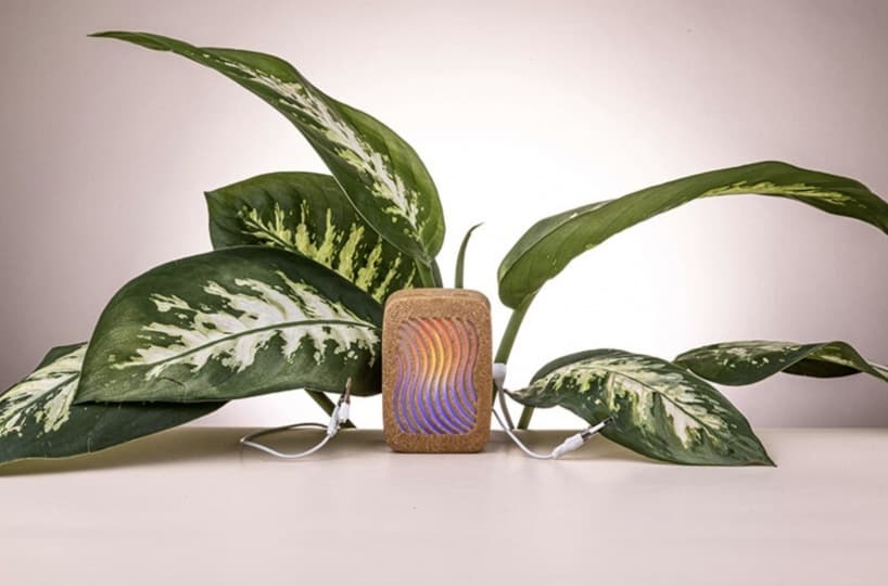PlantWave: девайс, который воспроизводит звуки растений