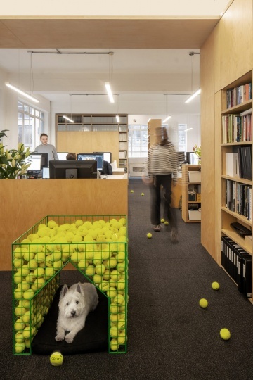 Лондонские архитекторы сделали необычную будку для собаки